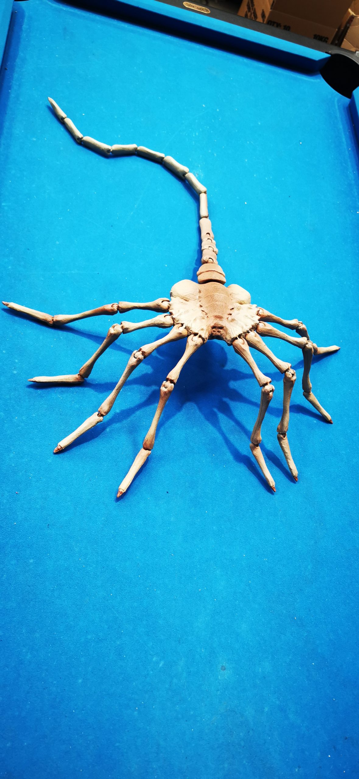 alien face hugger after spraying