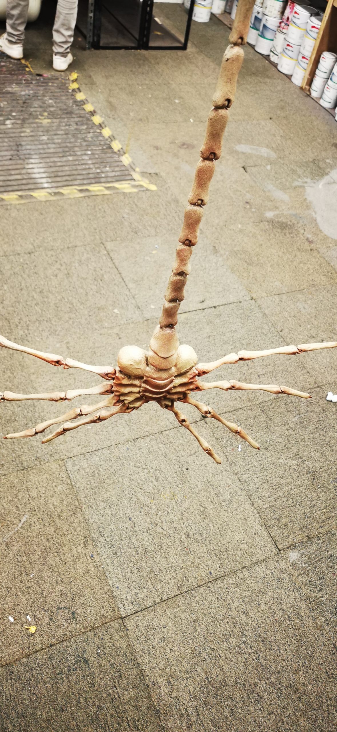 completed alien face hugger