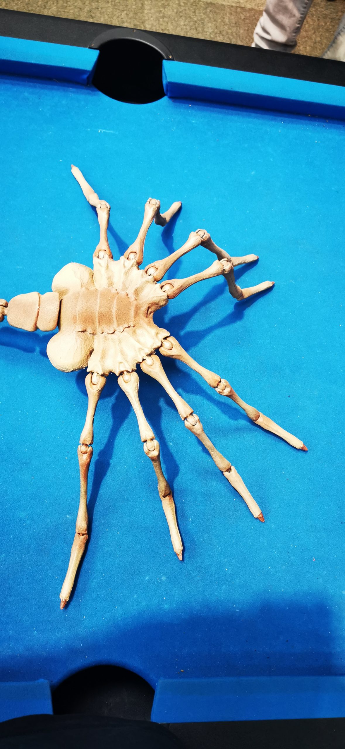 face hugger after spraying