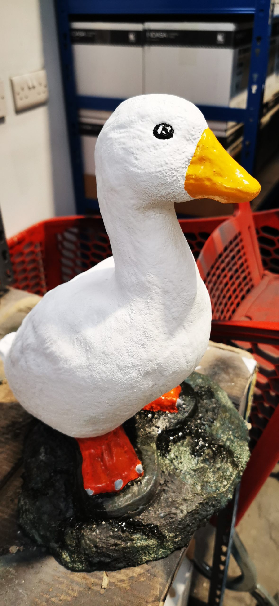 final outcome of ornamental duck