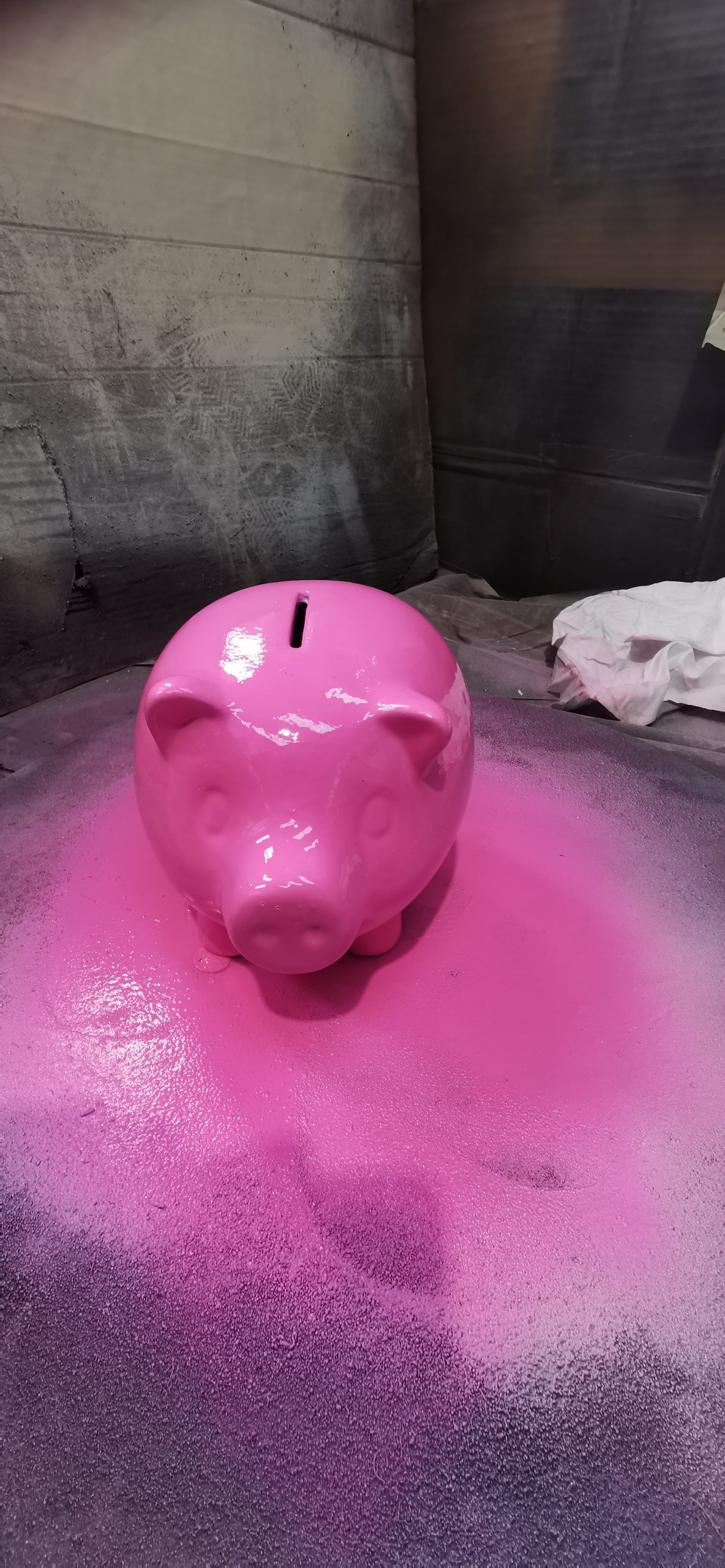painted pig