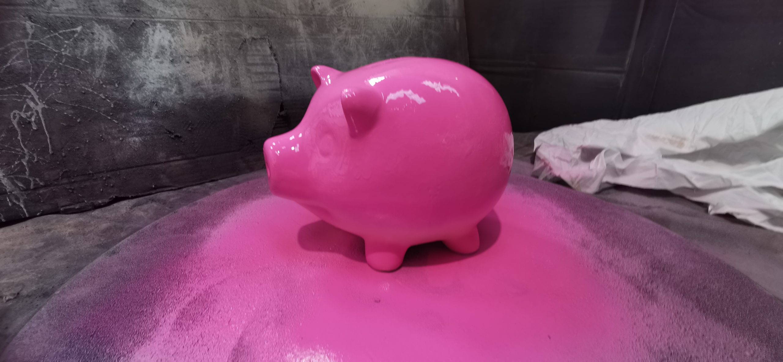 pink pig