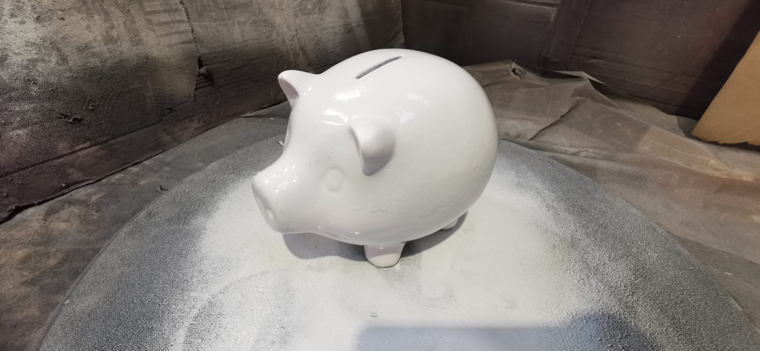 white primed pig