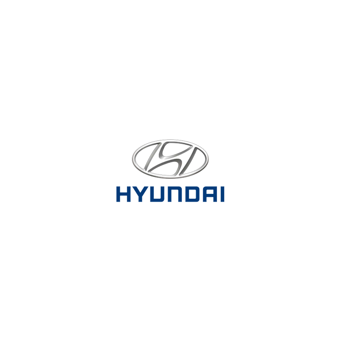 Hyundai Car Spray Paint