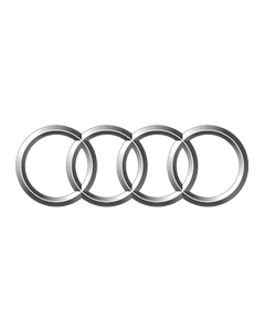 Audi Car Spray Paint