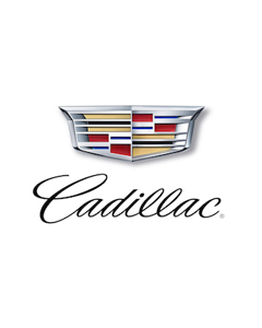 Cadillac Car Spray Paint